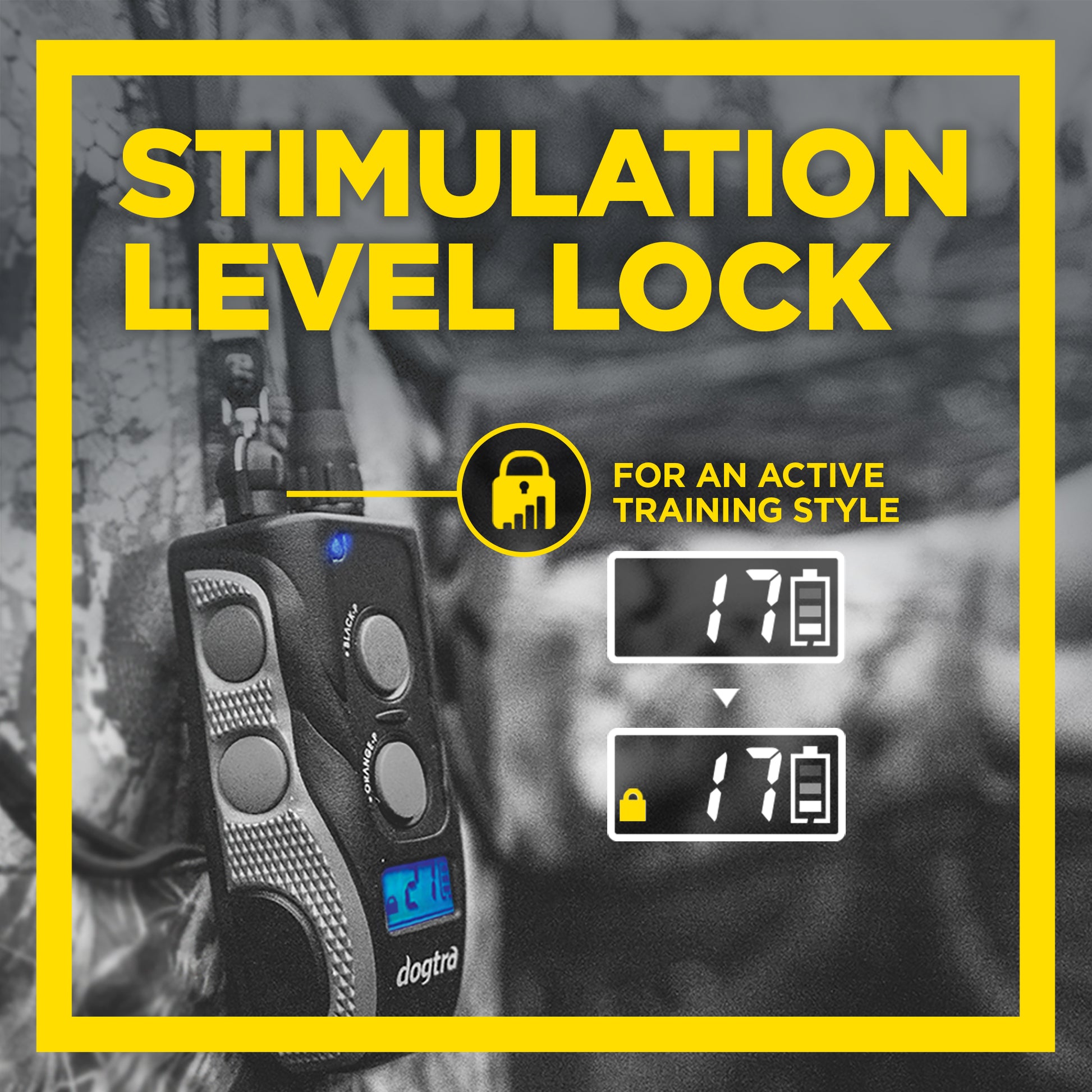 Dogtra 1900S Remote Training Collar Black Edition with Stimulation Level Lock