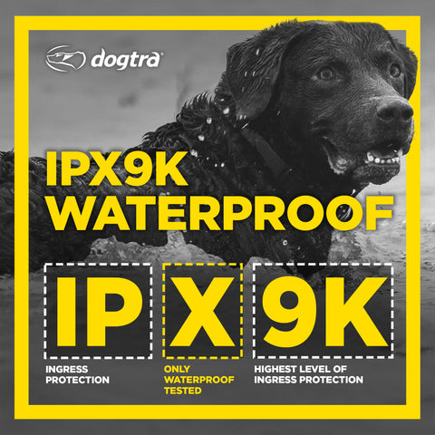 Dogtra 1900S Remote Training Collar Black Edition IPX9K Certified Waterproof