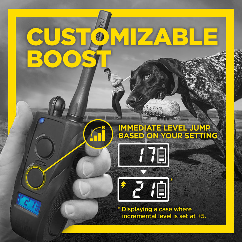 Dogtra - 1900S Black Boost & Lock - 1 Mile - Remote Training Collar-zoom-