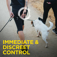 Dogtra 1900S Handsfree Plus Remote Training Collar for Discreet Control