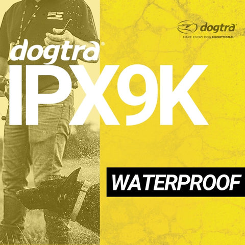 Dogtra 1900S Wetlands Remote Training Collar IPX9K Waterproof Certified