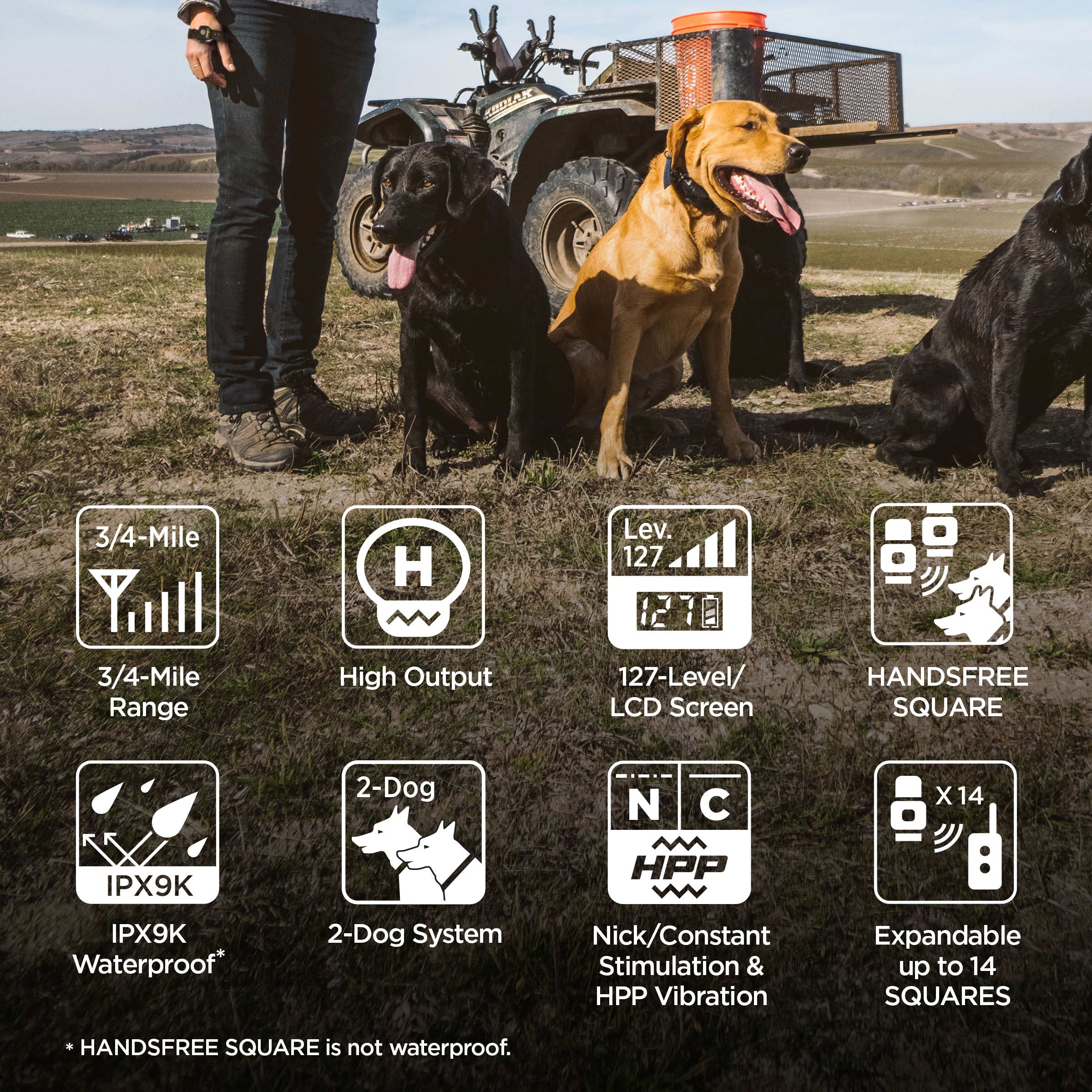 Dogtra 1902S Handsfree Plus Remote Training Collar Feature Icons