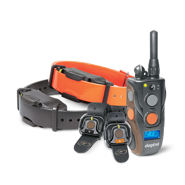 Ticent dog 2024 training collar