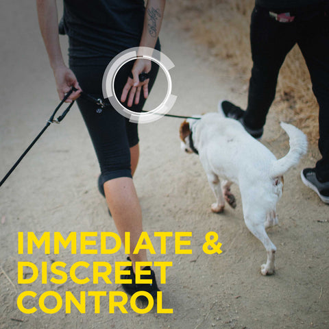 Dogtra 1902S Handsfree Plus Remote Training Collar for Discreet Control
