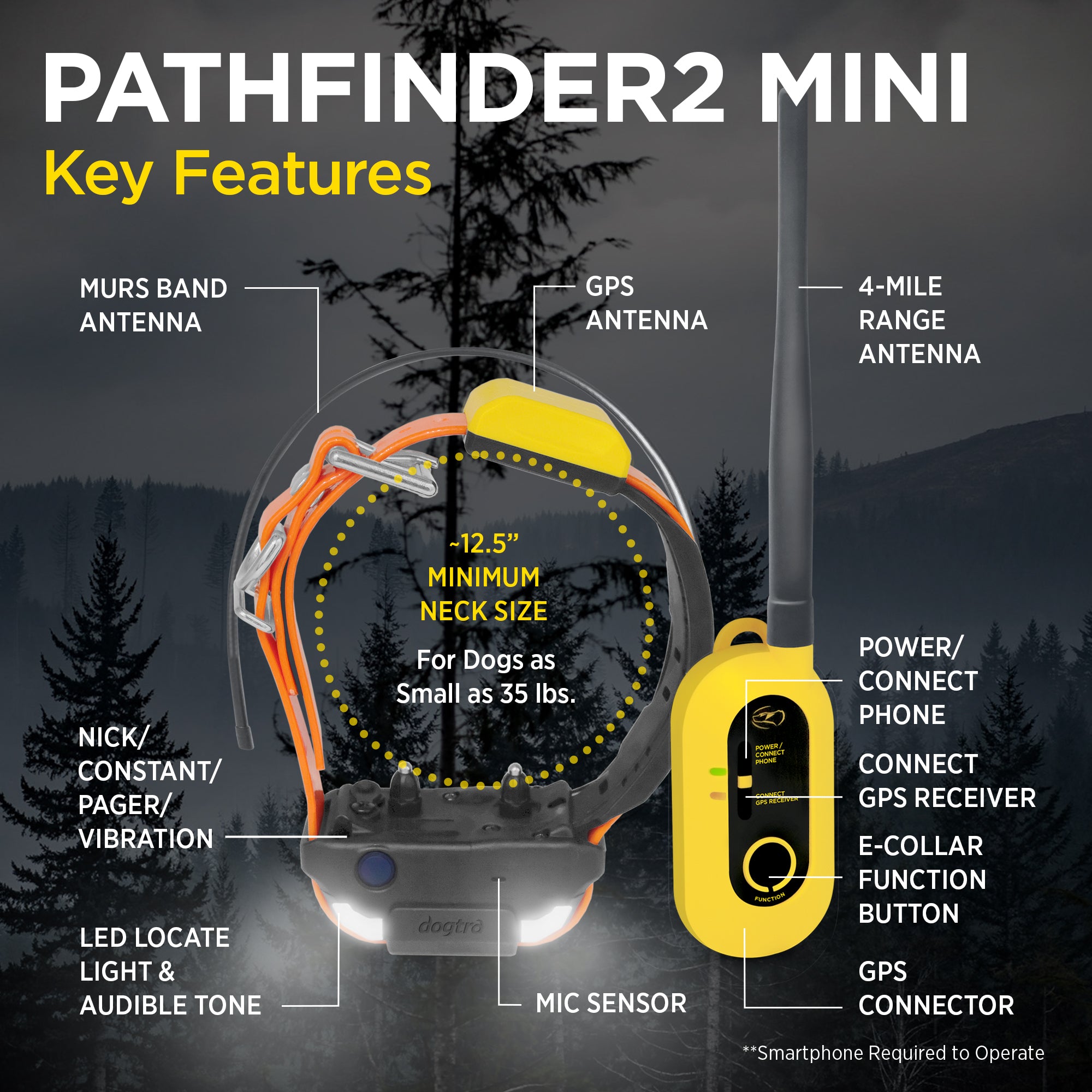 Dogtra Pathfinder2 Mini Remote Training Collar Key Features