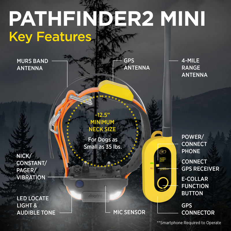 Dogtra - Pathfinder 2 Mini - 4 Miles - Remote Training Collar Waterproof-zoom-