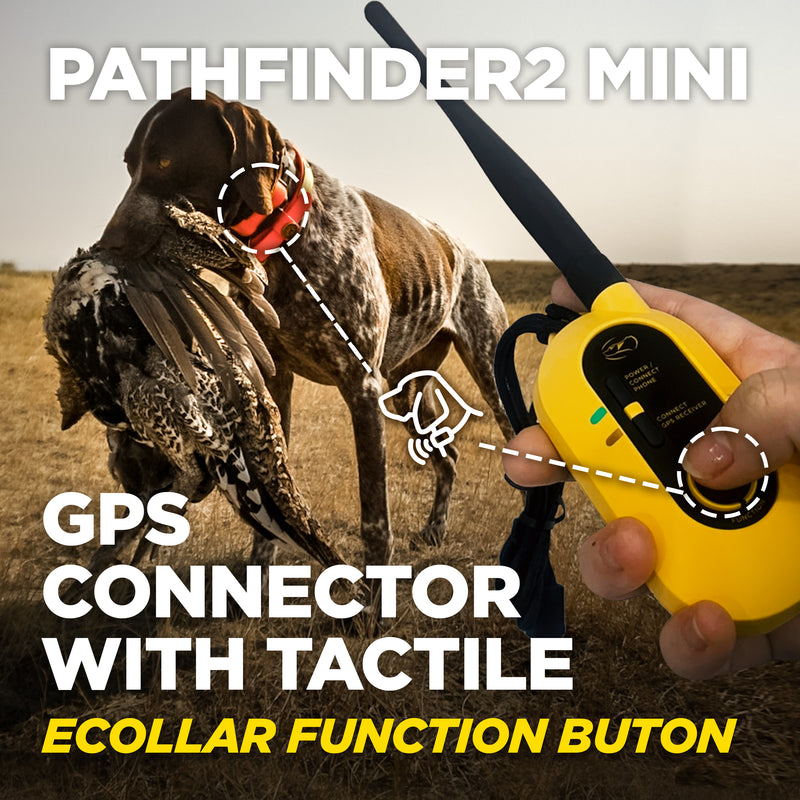 Dogtra - Pathfinder 2 Mini - 4 Miles - Remote Training Collar Waterproof-zoom-