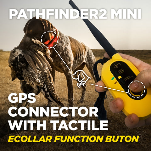 Dogtra Pathfinder2 Mini Remote Training Collar with GPS Connector
