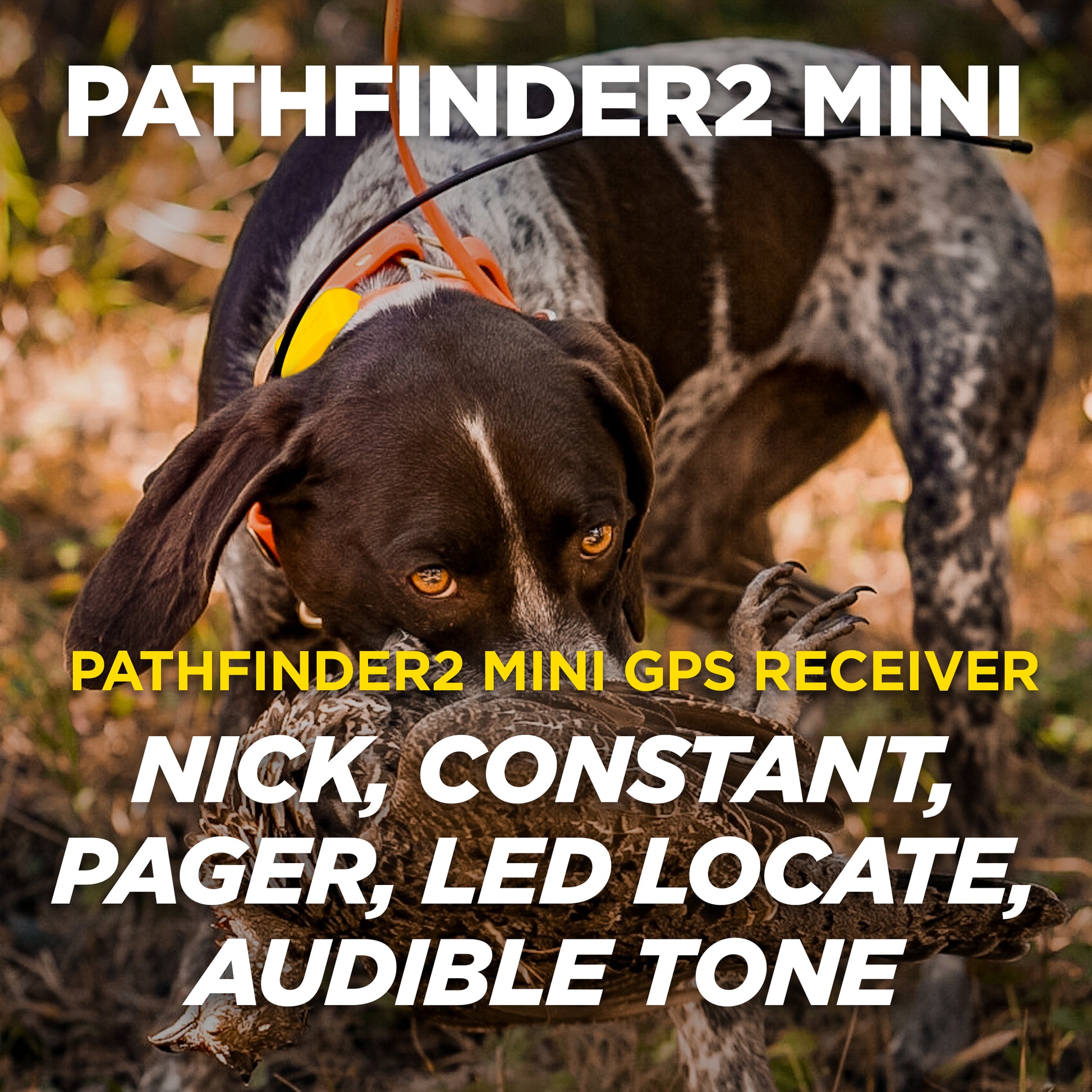 Dogtra Pathfinder2 Mini Remote Training Collar with Static, LED and Audible Tone