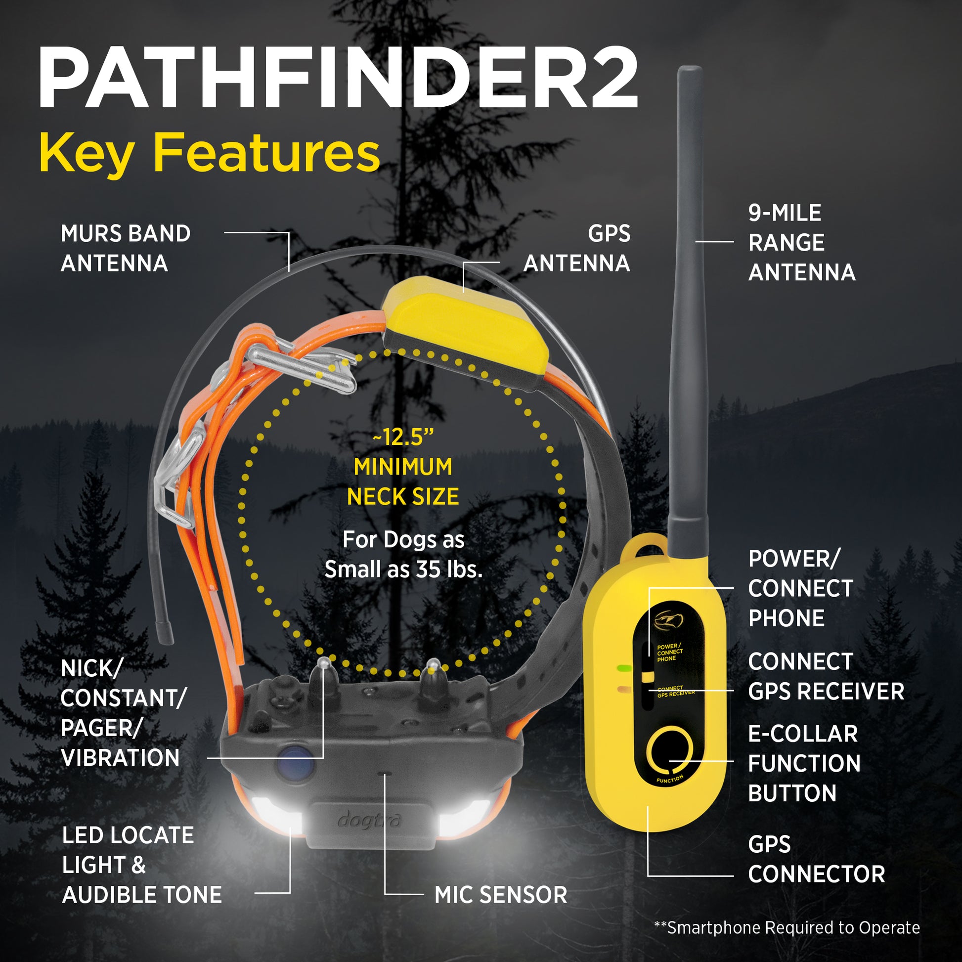 Dogtra Pathfinder 2 Remote Training Collar Key Features