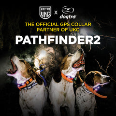 Dogtra Pathfinder 2 Remote Training Collar Official UKC Partner
