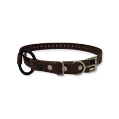 E-Collar Technologies 3/4" x 33" Brown Bungee Collar Strap