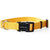 E-Collar Technologies 1" x 28" Nylon Quick Snap  Replacement Strap in Yellow