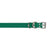 E_Collar Technologies 1" x 22" Biothane Strap in Green