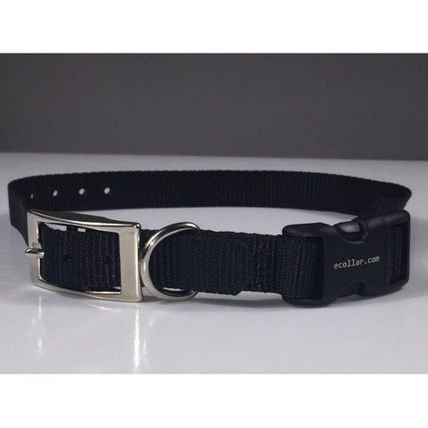 E-Collar Technologies 3/4" x 20" Nylon Quick Snap Buckle Replacement Strap in Black