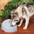Large Dog Drinking from Drinkwell PWW00-14074 Everflow Indoor/Outdoor Fountain