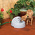 Medium Dog Drinking from Drinkwell PWW00-14074 Everflow Indoor/Outdoor Fountain