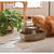 Orange Cat Drinking from Drinkwell PWW00-13708 Multi-Tier Pet Fountain