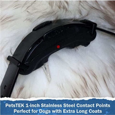 PetsTEK 1-Inch Stainless Steel Contact Points