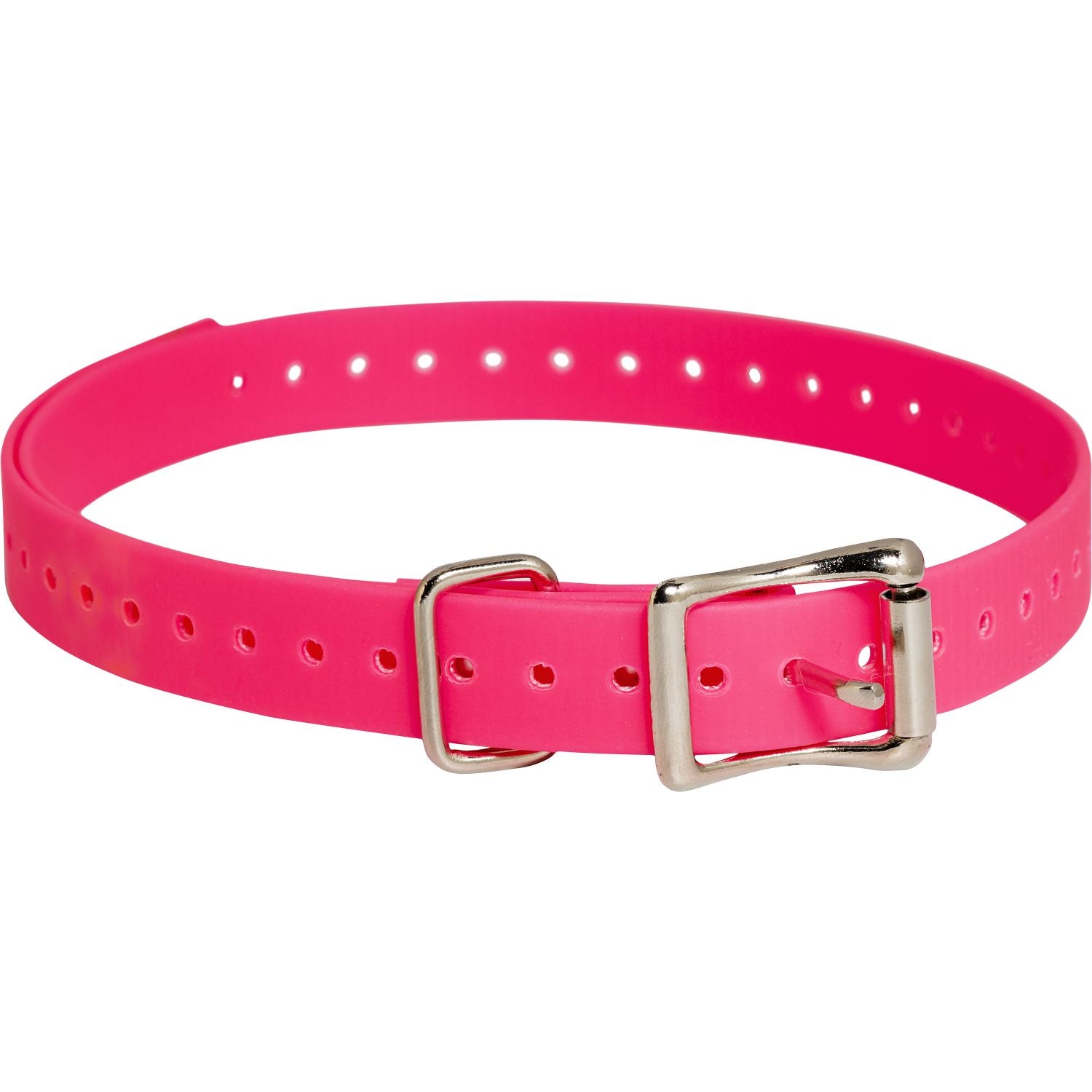 SportDog Replacement Strap 3/4 Inch in Pink
