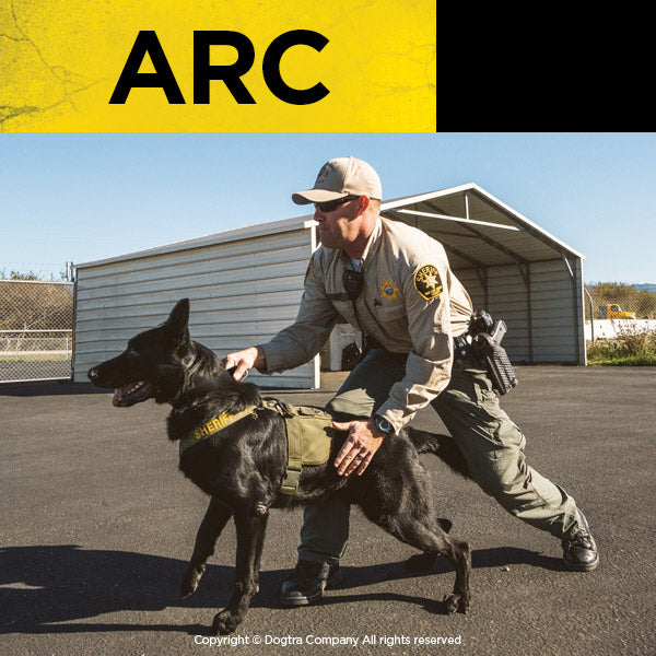 Dogtra - ARC - 3/4 Mile - Remote Training Collar-zoom-