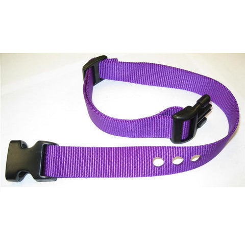 PetsTEK 1" Width Nylon Replacement Collar Strap in Purple