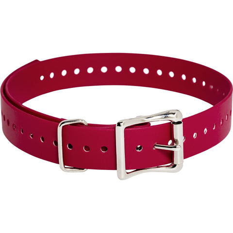 SportDOG 1" Replacement E-Collar Strap in Red