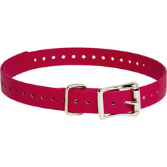 SportDog Replacement Strap 3/4 Inch in Red