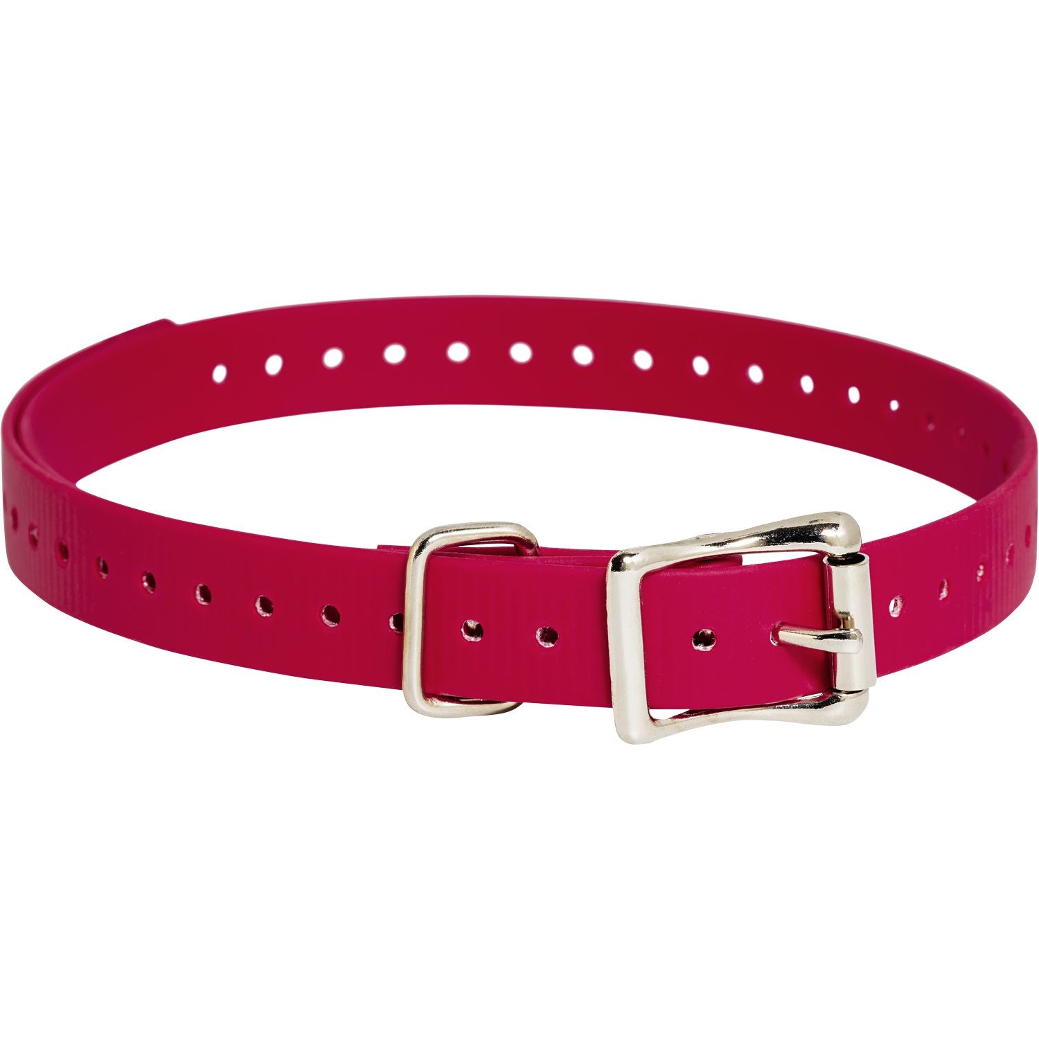 SportDog Replacement Strap 3/4 Inch in Red