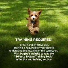 Small Dog Wearing Dogtra Collar Running on Grass