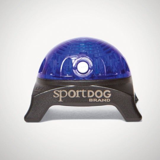 SportDog Locator Beacon in Blue