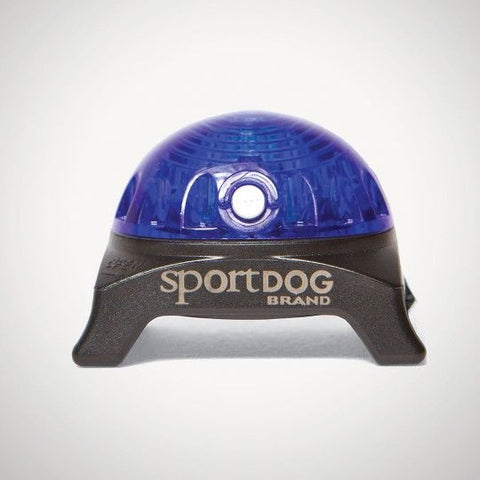 SportDog Locator Beacon in Blue