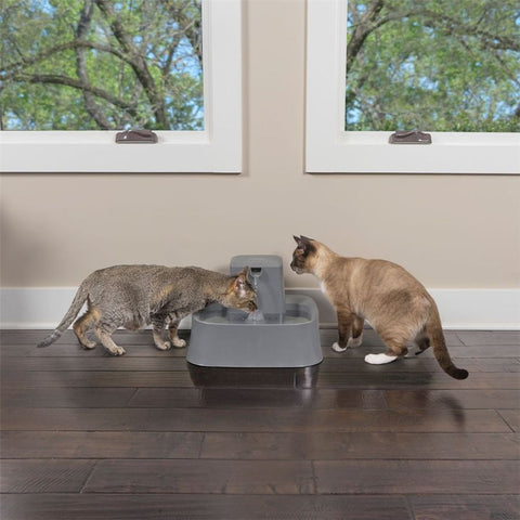 Two Cats Drinking from Drinkwell PWW00-16468 2-Gallon Pet Fountain