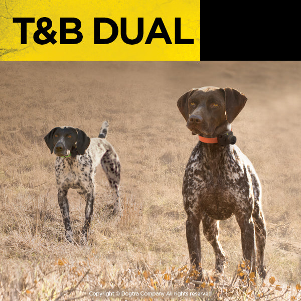 Dogtra - T&B Dual 2-dog - 1.5 Miles - Remote Training Collar-zoom-8