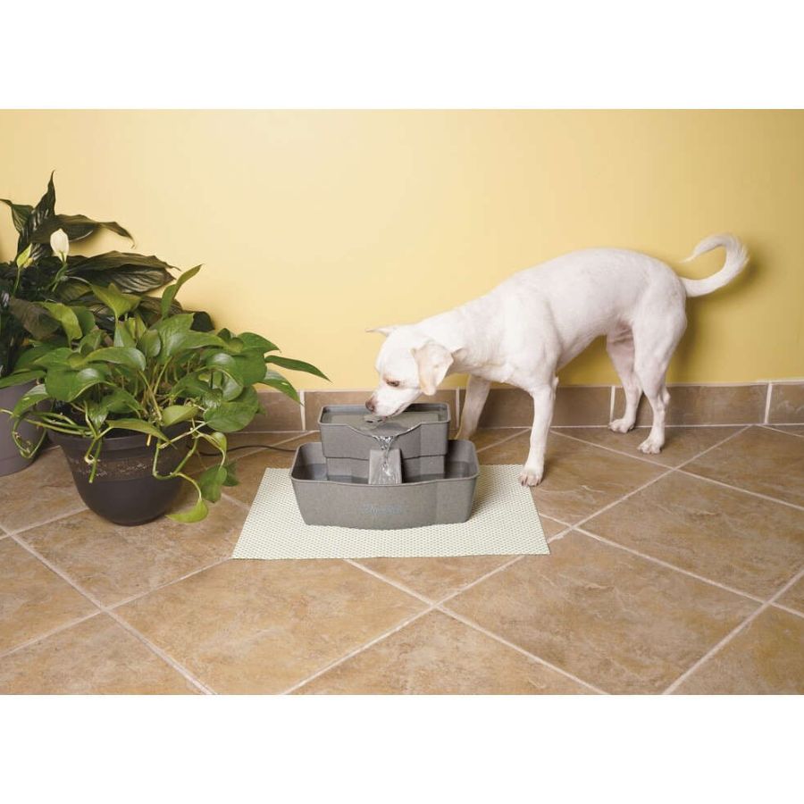 White Dog Drinking from Drinkwell PWW00-13708 Multi-Tier Pet Fountain
