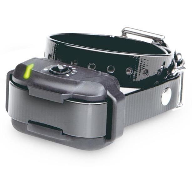 Dogtra-Dogtra - E-Fence 3500 Rx - Additional Collar