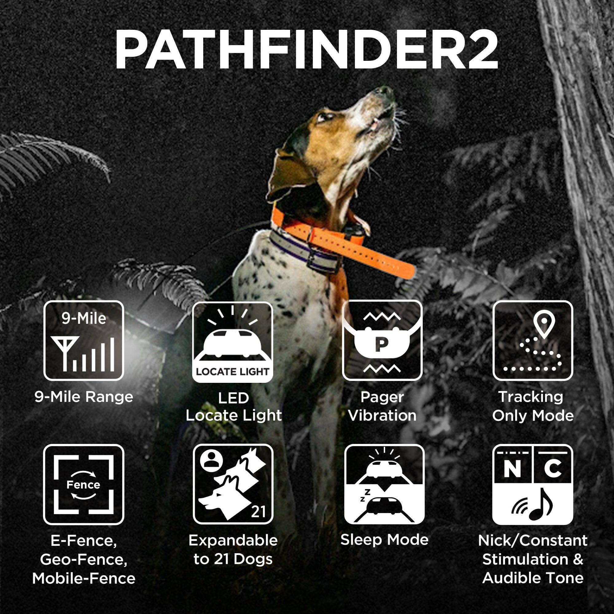 Dogtra-Dogtra - Pathfinder 2 - 9 Miles - Remote Training Collar