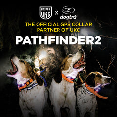 Dogtra-Dogtra - Pathfinder 2 - 9 Miles - Remote Training Collar