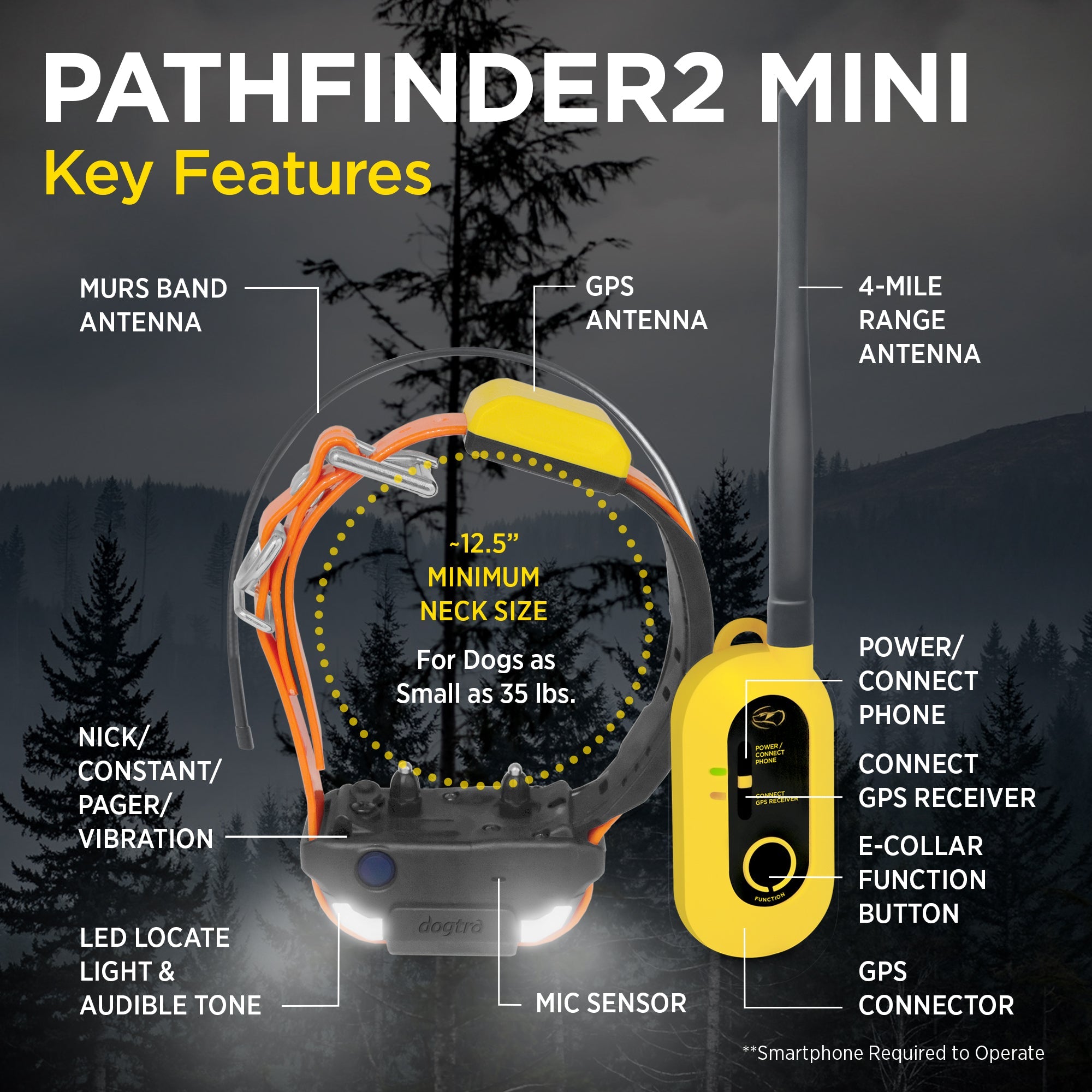 Dogtra-Dogtra - Pathfinder 2 Mini - 4 Miles - Remote Training Collar Waterproof
