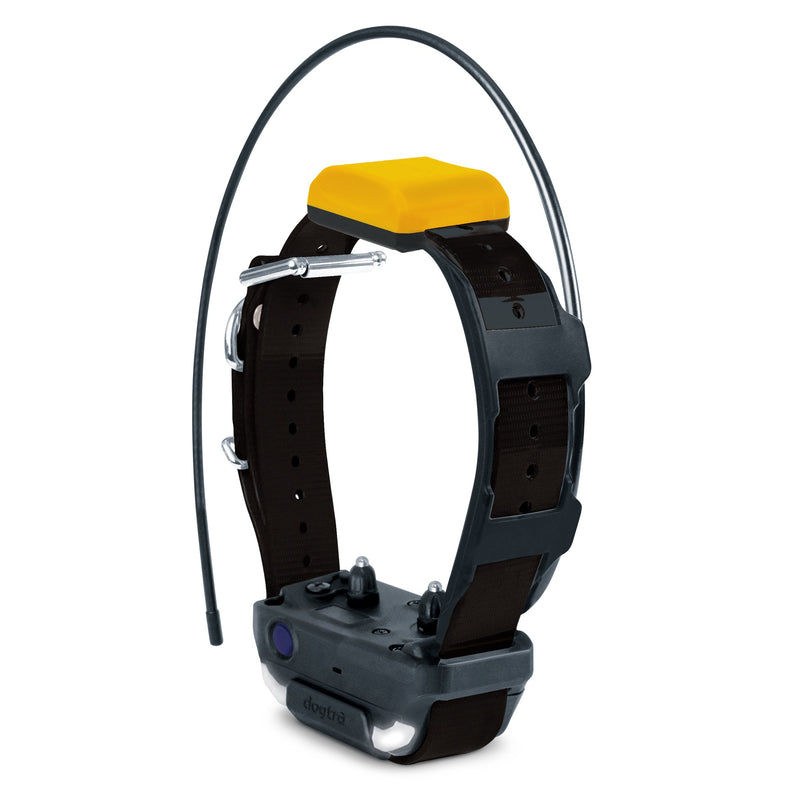 Dogtra - Pathfinder 2 RX Black - 9 Miles - Additional Collar-zoom-