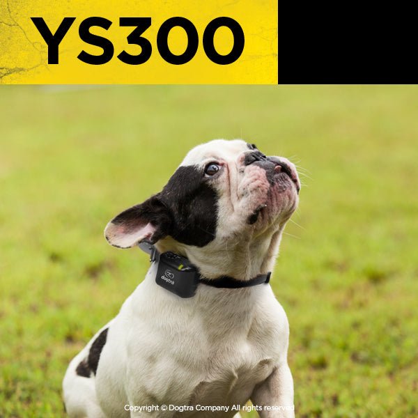 Dogtra-Dogtra YS300 No Bark Collar