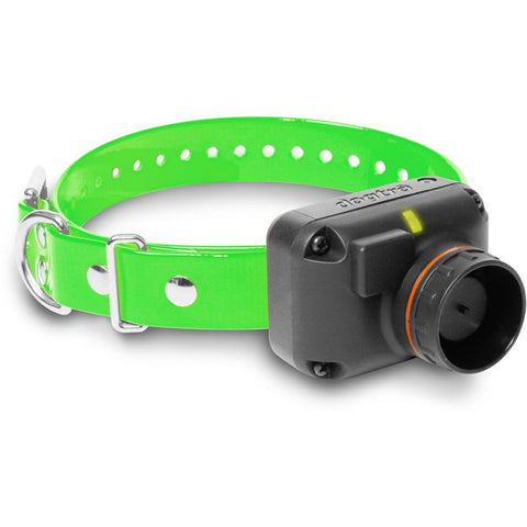 Dogtra T&B RX Green Additional Receiver