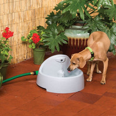 Drinkwell-Drinkwell - PWW00-14074 Everflow Indoor/Outdoor Fountain - Pet Fountain