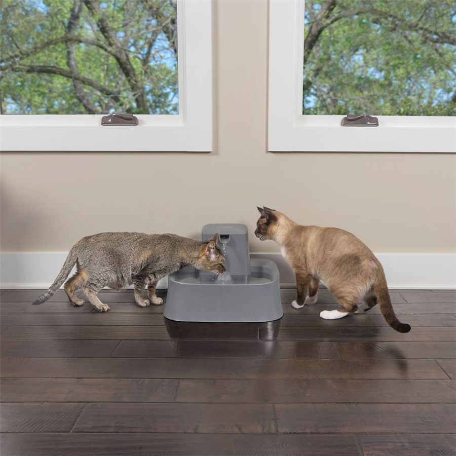Drinkwell-Drinkwell - PWW00-16468 2-Gallon Pet Fountain - Pet Fountain