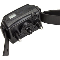 E-Collar Technologies BP-504 No Bark Collar Receiver Close Up