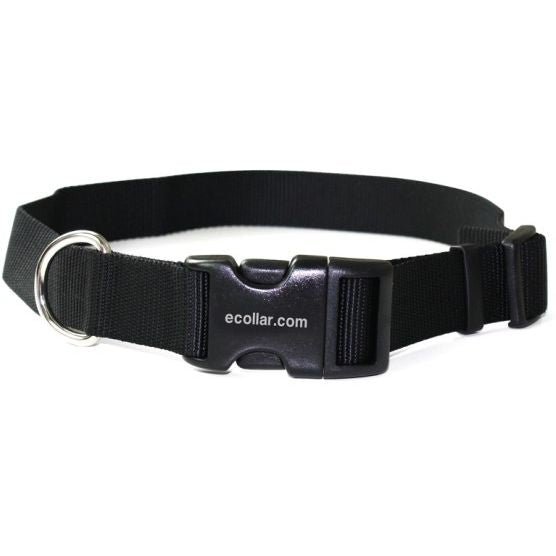 E-Collar Technologies-E-Collar Technologies - 1" Width - Nylon Quick Snap Replacement Strap
