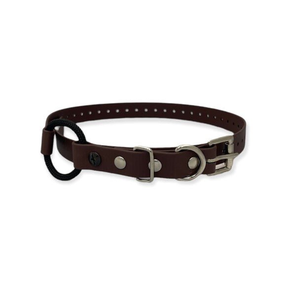 E-Collar Technologies-E-Collar Technologies - 3/4" Width Bungee Collar