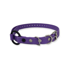 E-Collar Technologies-E-Collar Technologies - 3/4" Width Bungee Collar
