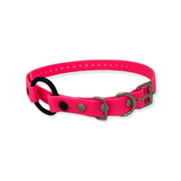 E-Collar Technologies-E-Collar Technologies - 3/4" Width Bungee Collar