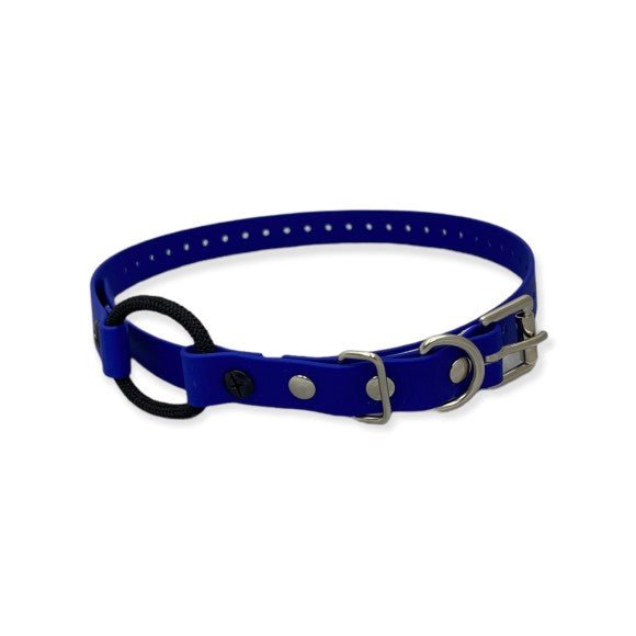 E-Collar Technologies-E-Collar Technologies - 3/4" Width Bungee Collar